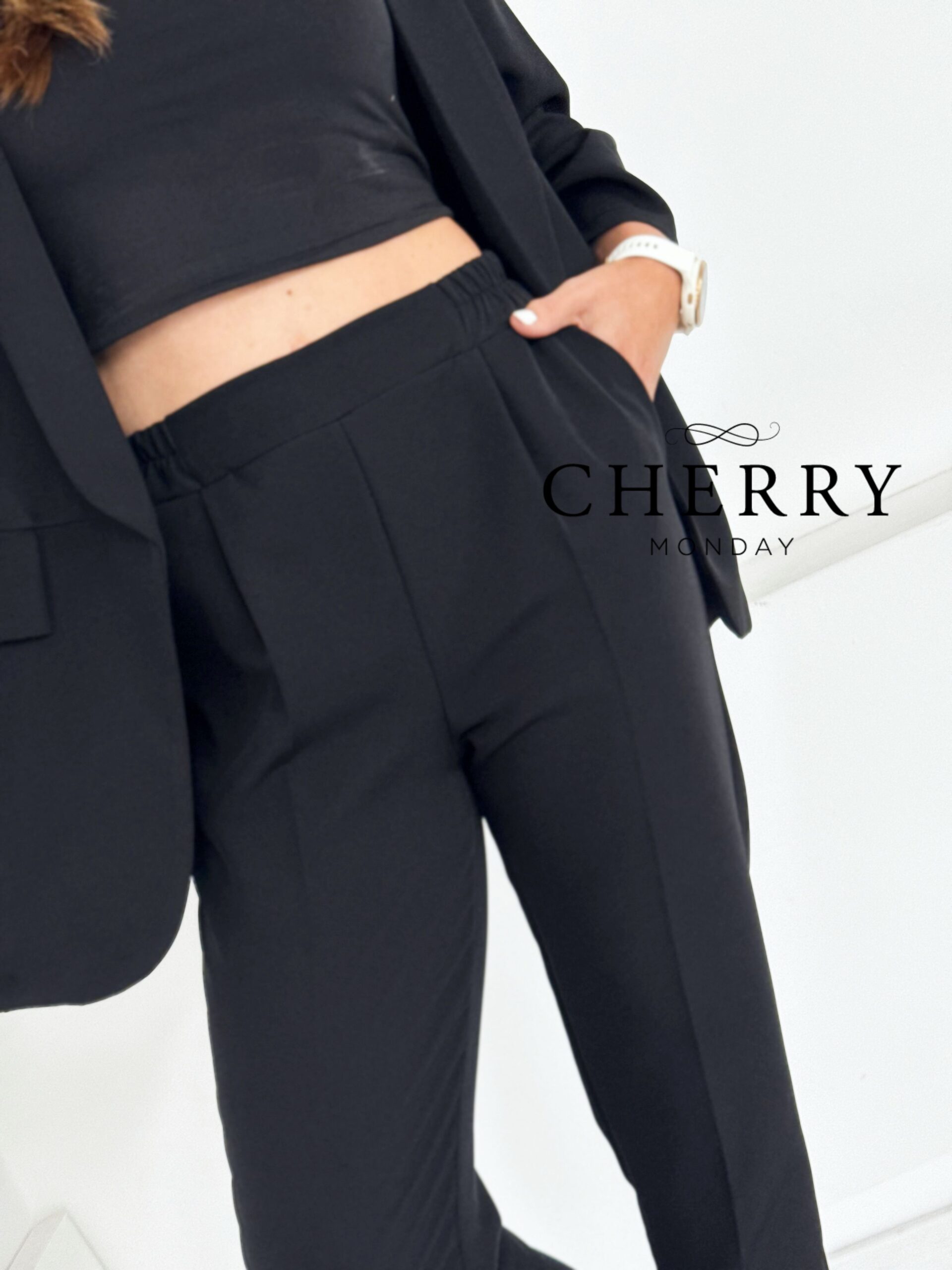 Eleganten hlačni kostim